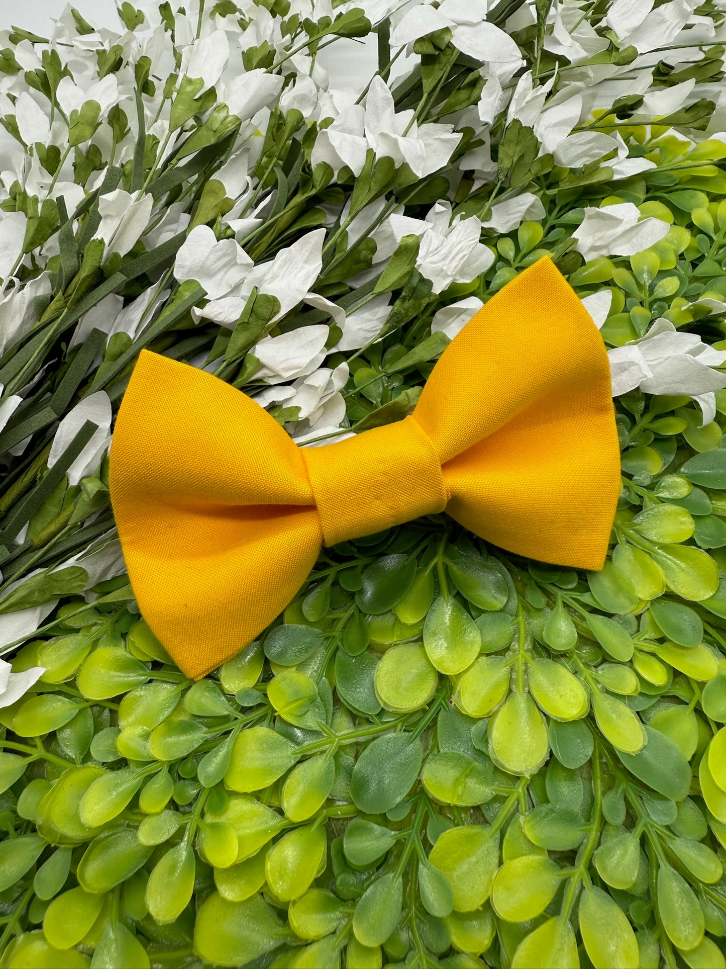 Golden Yellow Slide-on Bow-tie