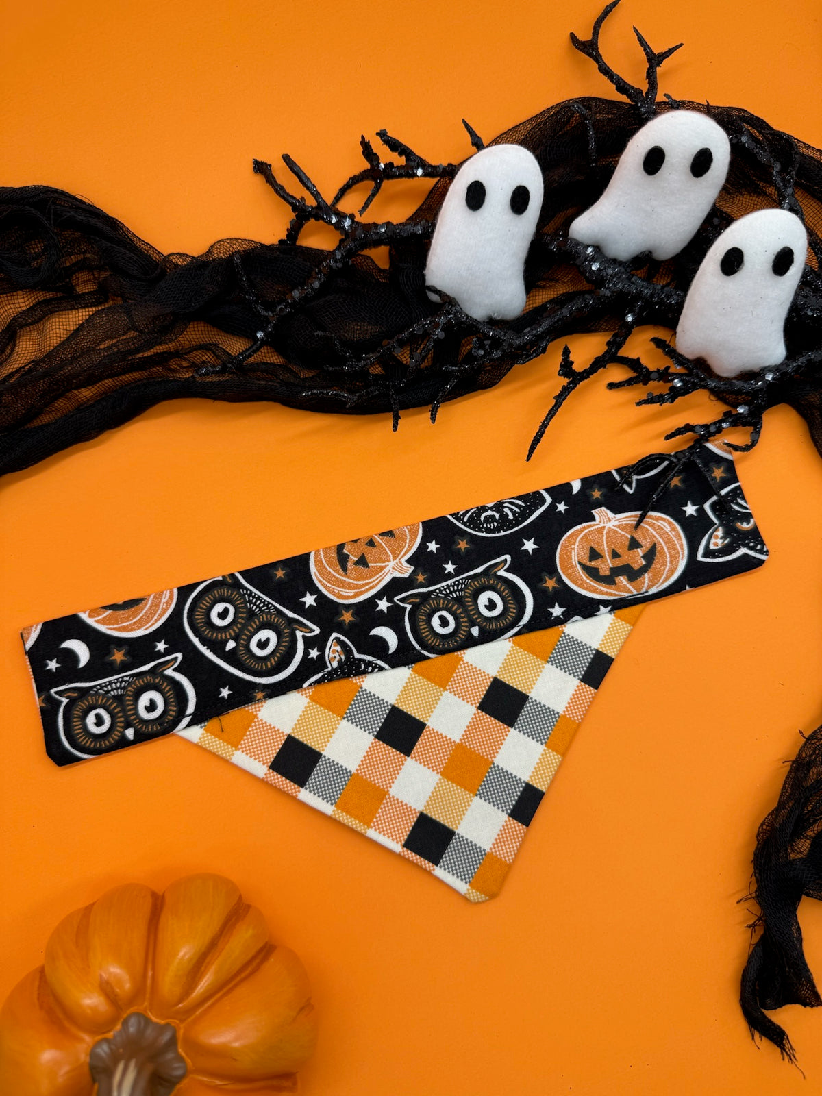 Tricks & Treats Slide-on Bandana