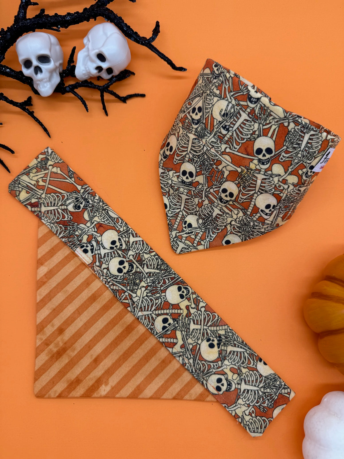 Spooky Scary Skeletons Slide-on Bandana