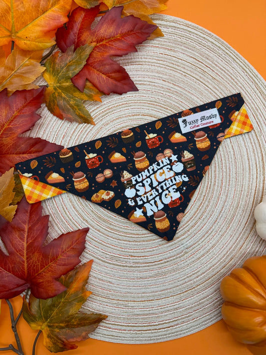 Pumpkin Spice & Everything Nice Slide-on Bandana
