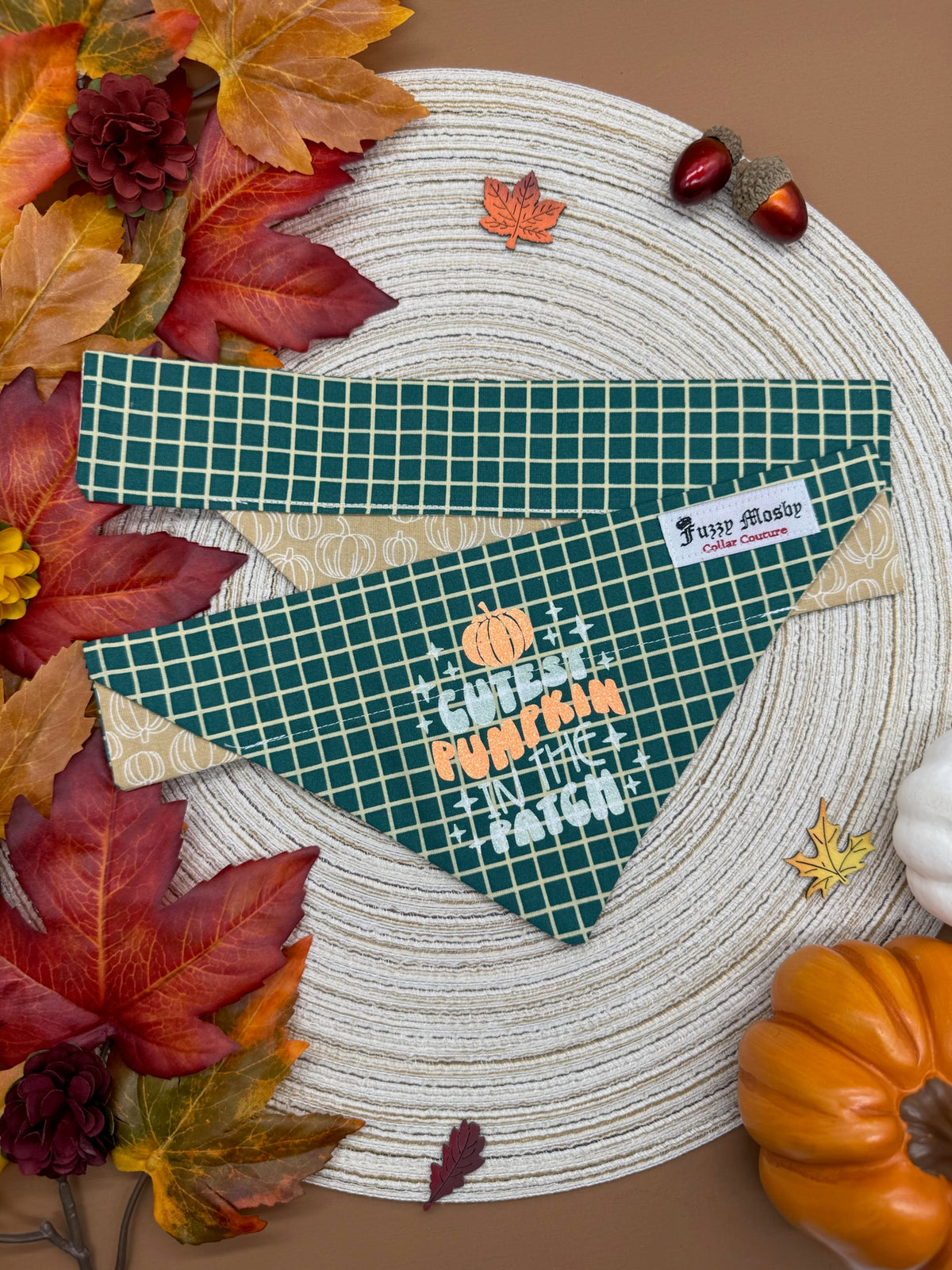 Cutest Pumpkin in the Patch Slide-on Bandana