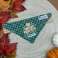Cutest Pumpkin in the Patch Slide-on Bandana