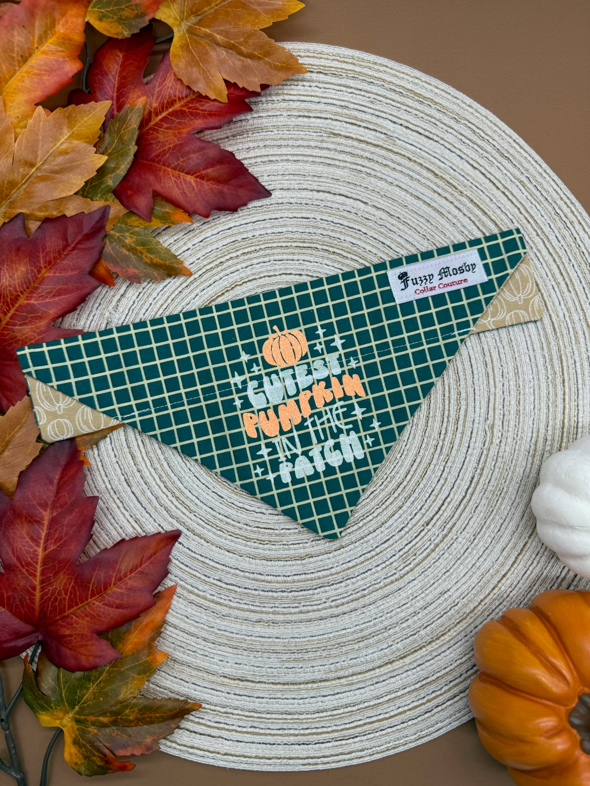 Cutest Pumpkin in the Patch Slide-on Bandana