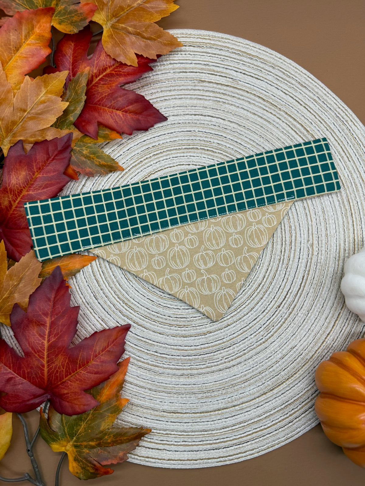 Cutest Pumpkin in the Patch Slide-on Bandana