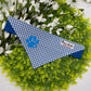 Blue Gingham Slide-on Bandana