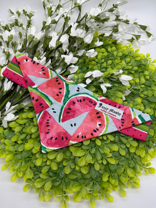 Cute as a Melon Slide-on Bandana