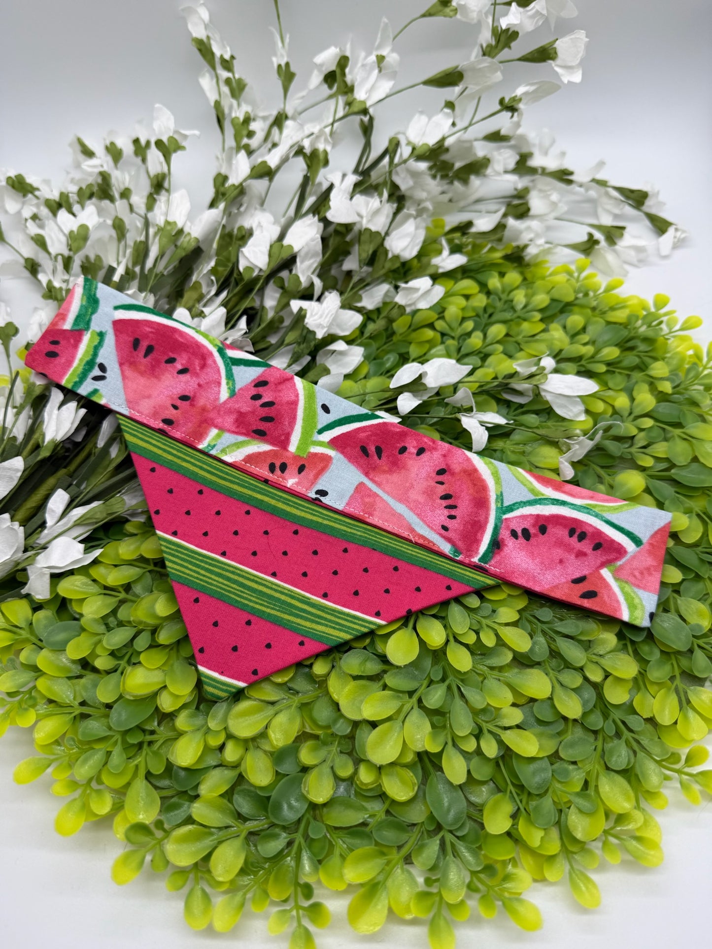 Cute as a Melon Slide-on Bandana