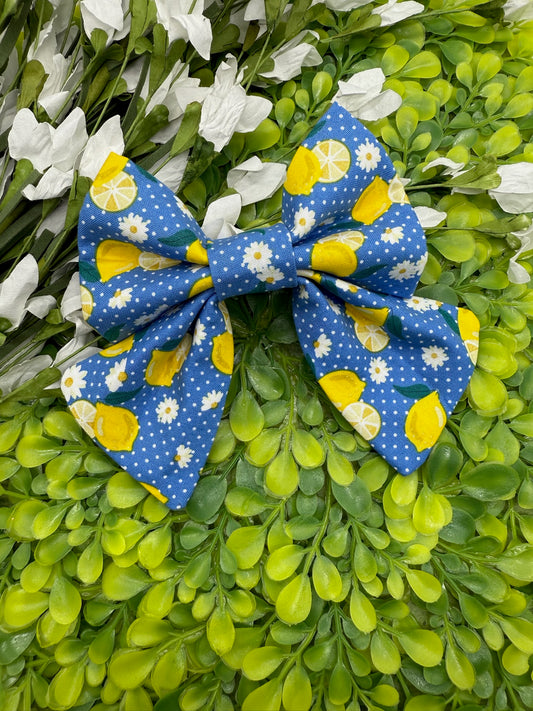 Sweet Lil’ Lemons Slide-on Bow
