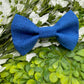 Ocean Blue Slide-on Bow-tie