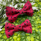 Sweet as a Melon Slide-on Bow-tie