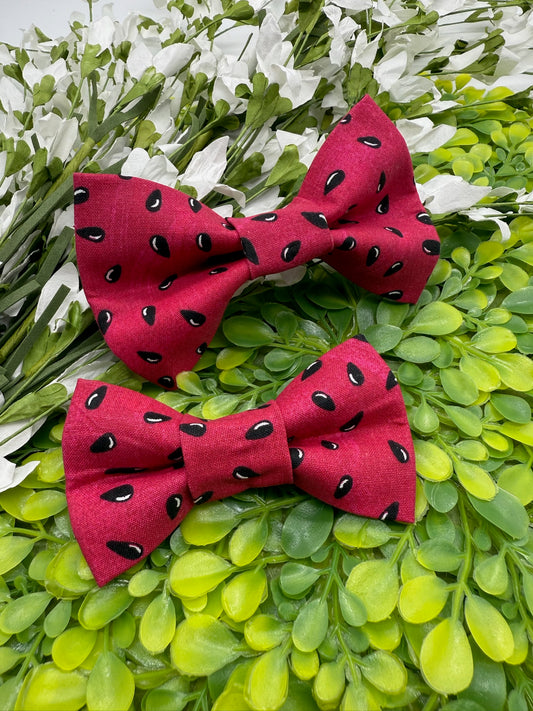 Sweet as a Melon Slide-on Bow-tie