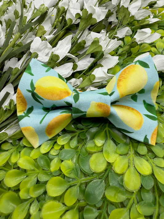Lemonade Slide-on Bow-tie