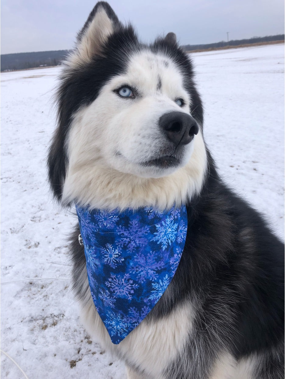 Let It Snow Slide-on Bandana