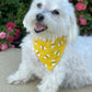 Busy Bee Slide-on Bandana
